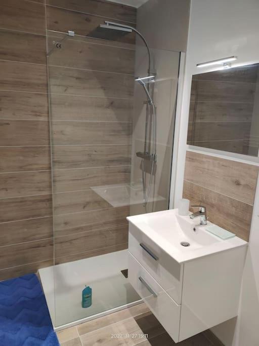 Logement Complet A Villeurbanne Exteriör bild
